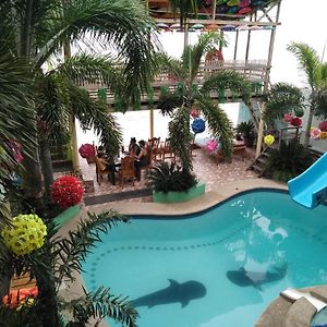 Sascha'S Resort Oslob
